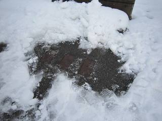 IMG_5937.JPG