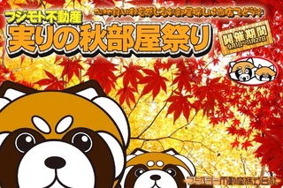 Panda_Akibeya2019-640.jpg