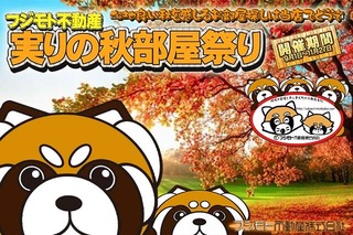 Panda_Akibeya2023.jpg